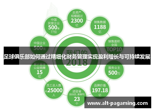 足球俱乐部如何通过精细化财务管理实现盈利增长与可持续发展